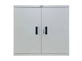 Шкаф ПРАКТИК СВ-01