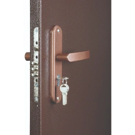 Дверь СПЕЦ PRO BMD (2060/960, Правая, ит ор, Металл медный антик)