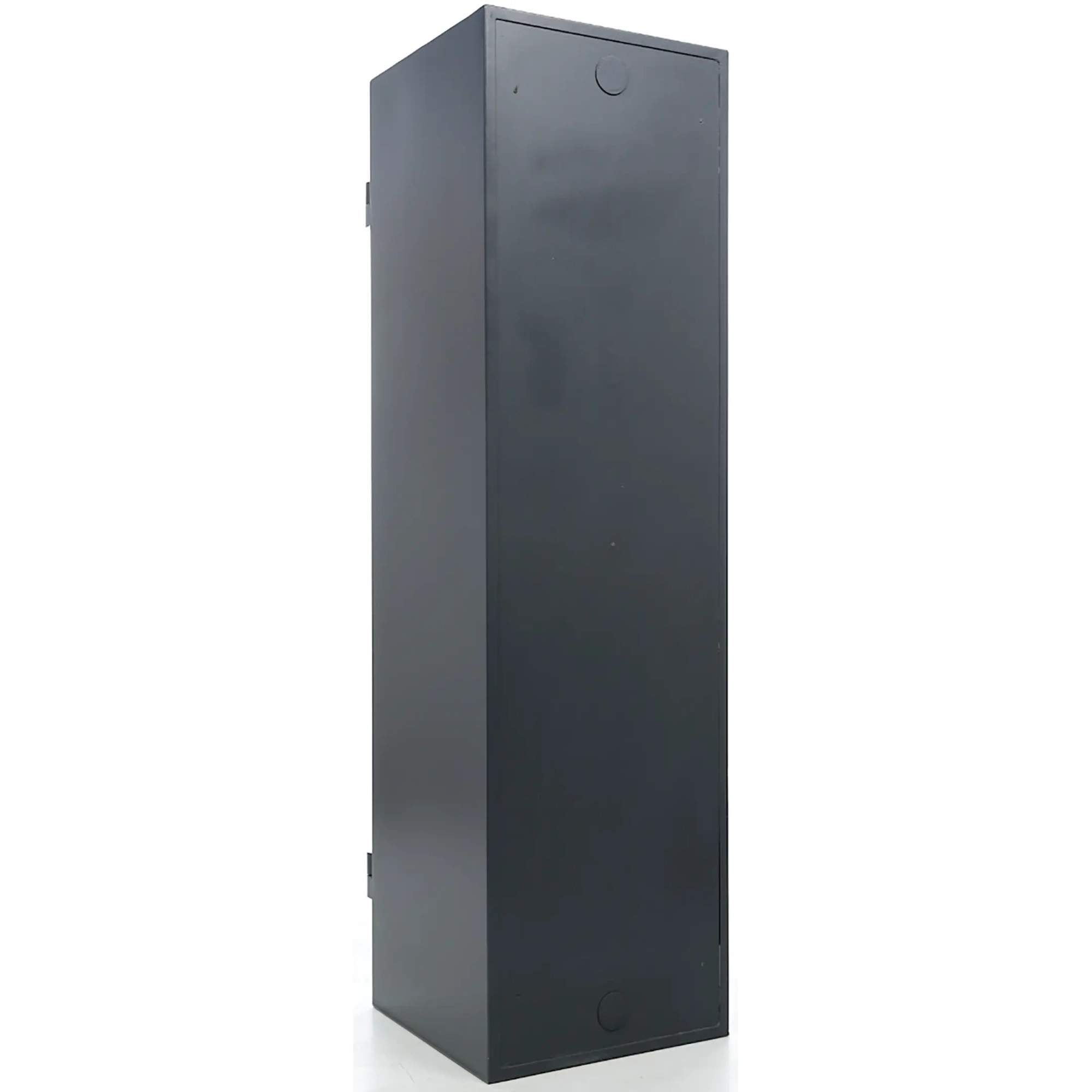 Сейф оружейный ASG/WS6 EL