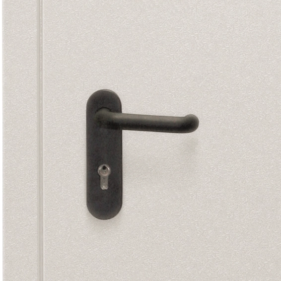 Дверь противопожарная ДПС-2 2050/1250/R/L