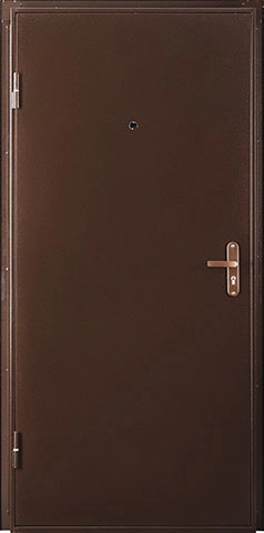 Металлическая дверь ПРОФИ IS